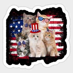 Funny Cat Patriotic USA Cat Lovers Cat Moms 4th July American Sticker